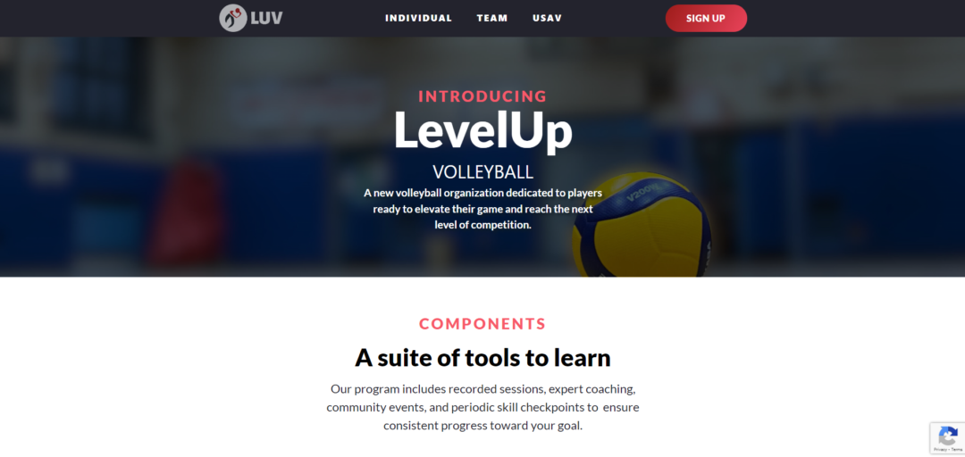 Level Up Volleyball Web Design