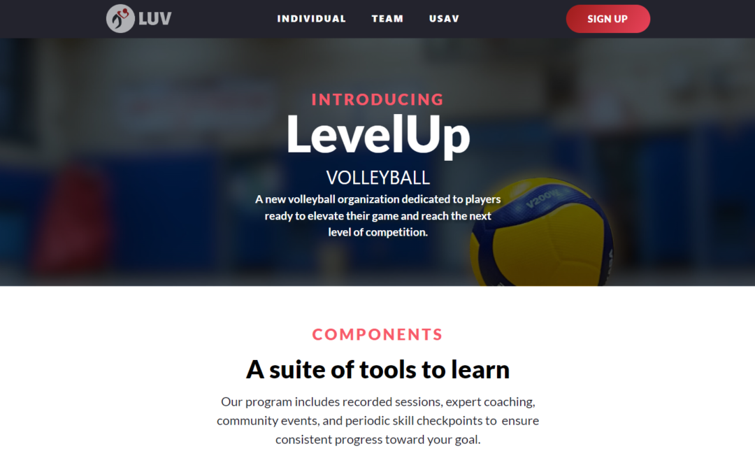 Level Up Volleyball Web Design