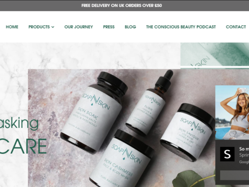 Soap N Skin Web Design Albany NY